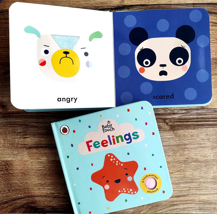 Ladybird Baby Touch: Feeelings Book