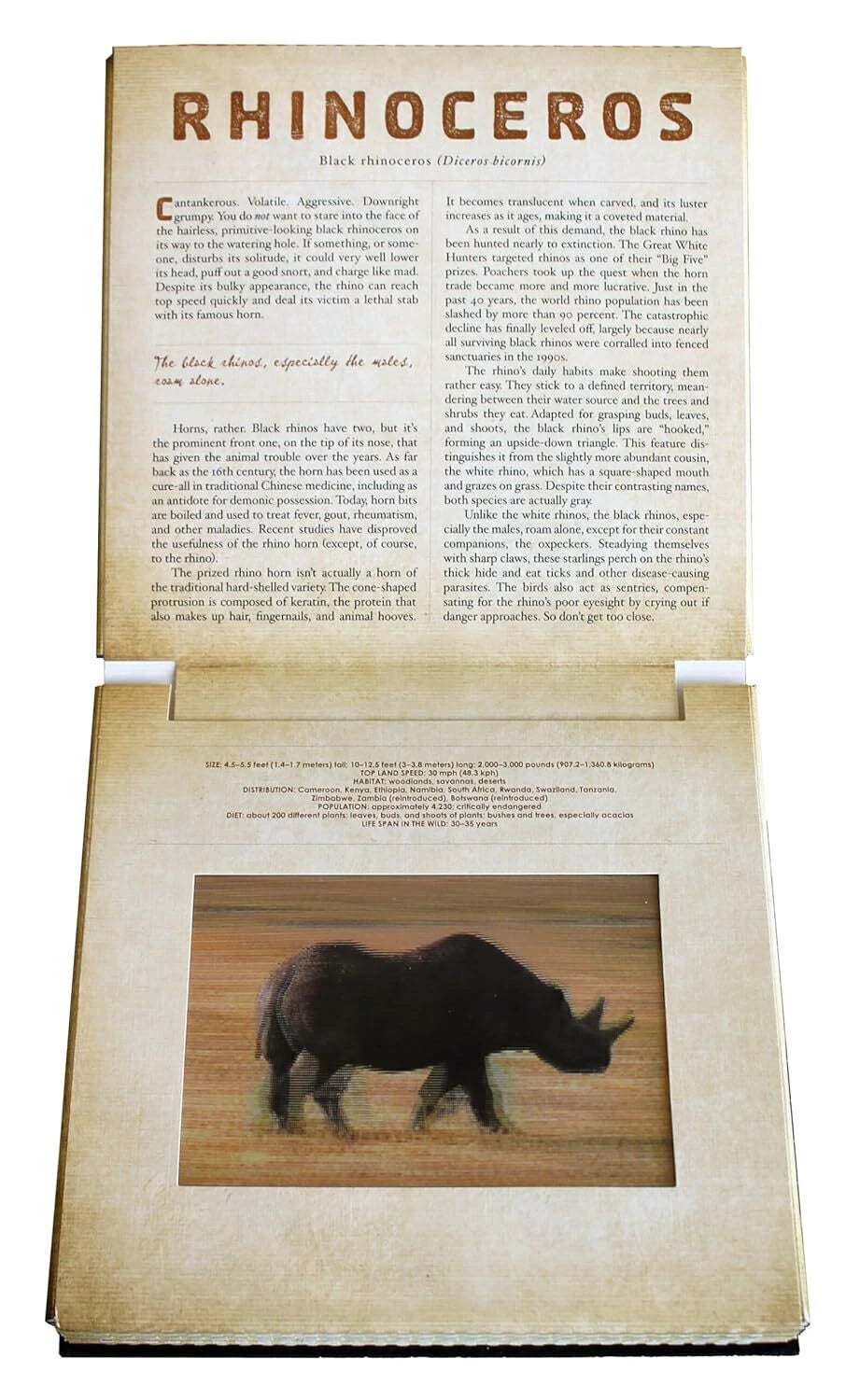 Safari A Photicular Book
