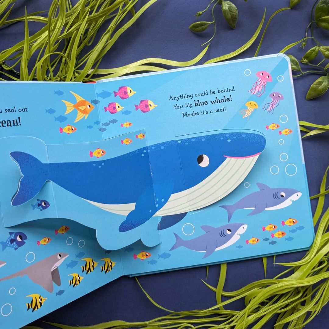 Seal in the Sea - Pop Up Book