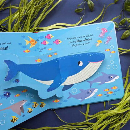 Seal in the Sea - Pop Up Book