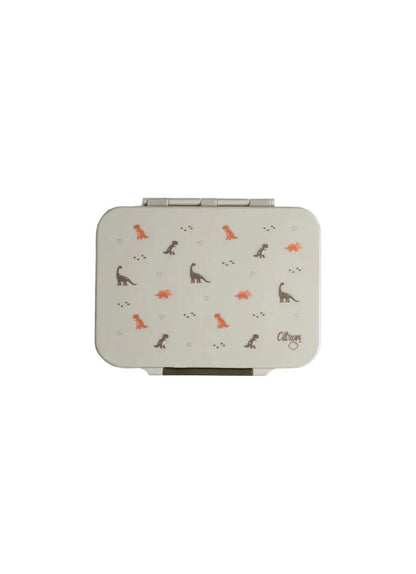 Tritan Lunch Box - 4 Compartments - Dino Green | Citron