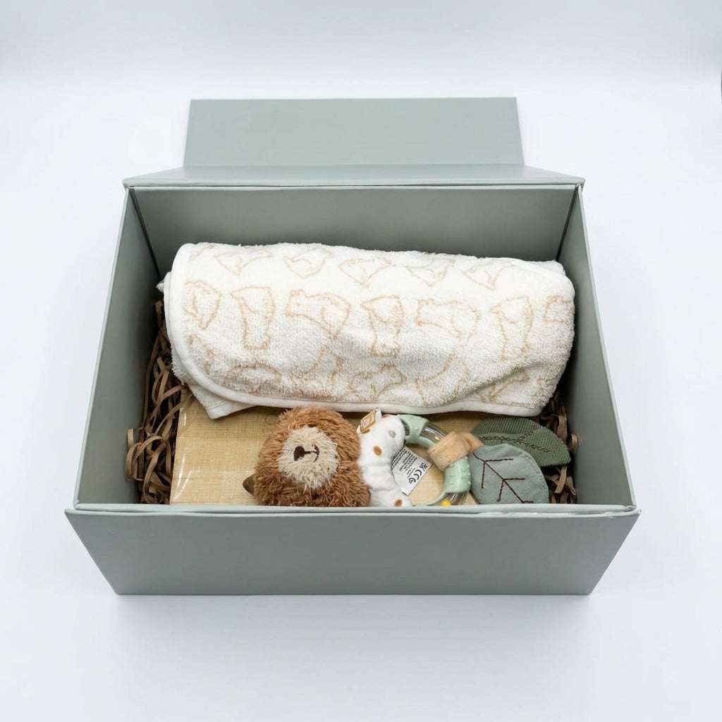 Bear Hugs Baby Gift Set