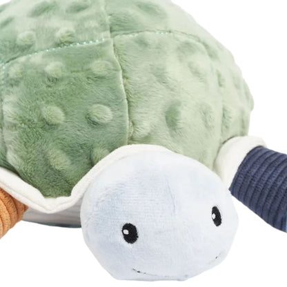 You, Me & The Sea Activity Turtle